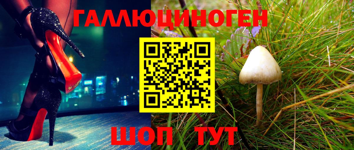 Каменск-Уральский  Псилоцибиновые грибы прущие грибы  Вход с VPN  Псилоцибиновые грибы Psilocybine cubensis 